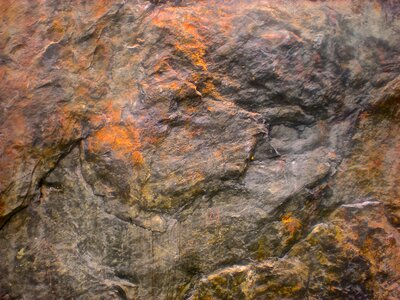 Bear head rust grey