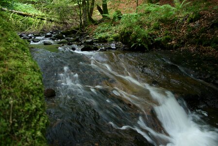 River movement nature photo