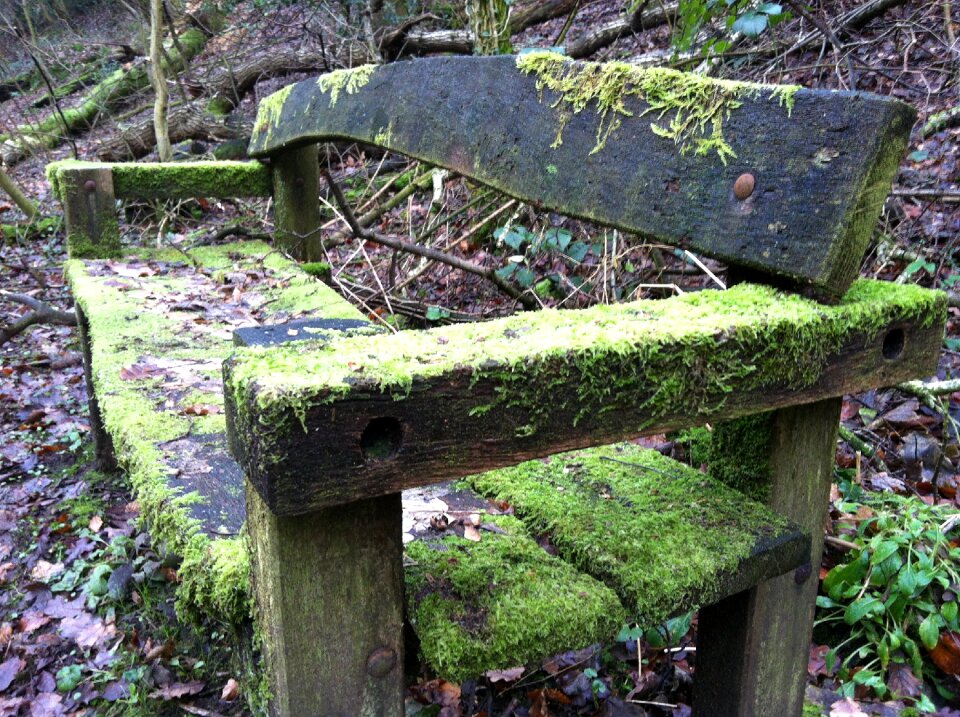 Park bench nature wooden bench
