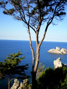 Sea coast vacations