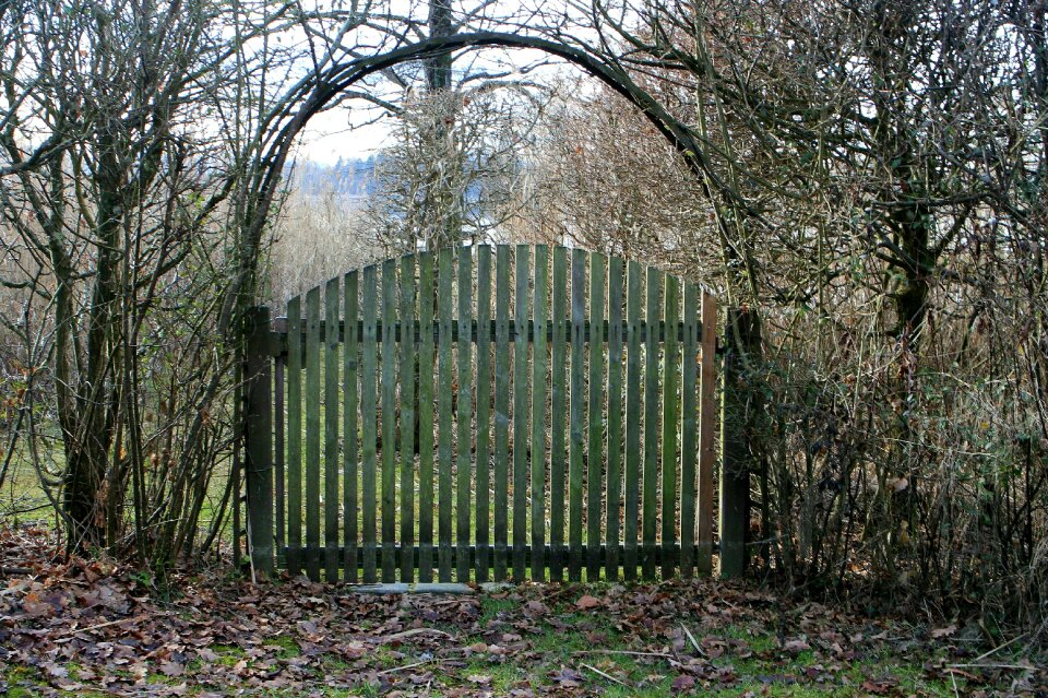 Garden door garden wooden door