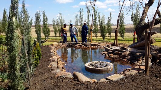 Pool biotope artificial