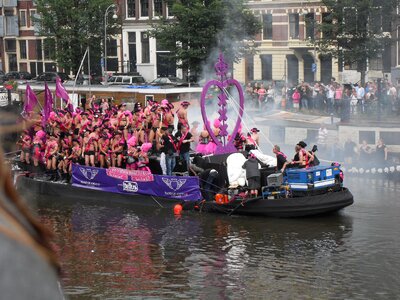Party pink merry