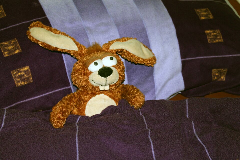 Children toys teddy bear sleep