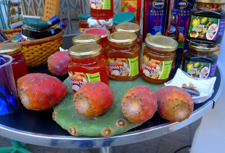 Malta gozo cactus fruit