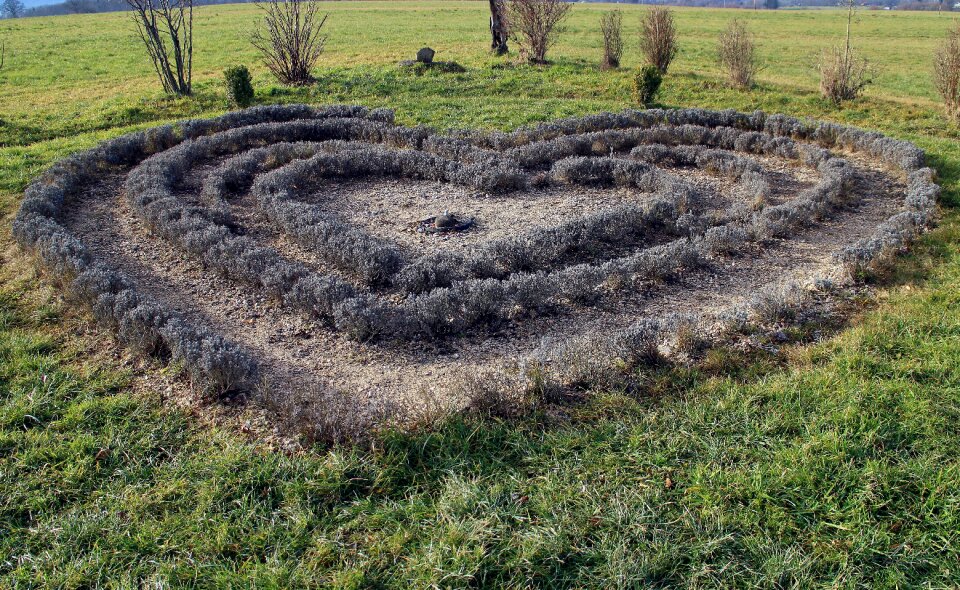 Meadow grass symbol