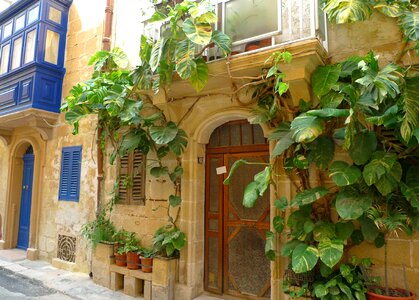 Idyll exotic malta photo