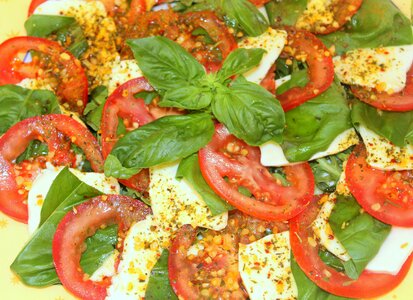 Tomato mozzarella basil