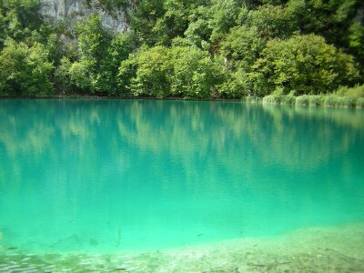 Nature water recovery