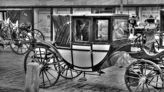 Cart stagecoach the horse photo