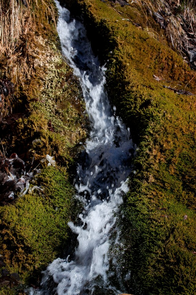 Bubble idyll moss photo