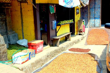 Clove drying bali