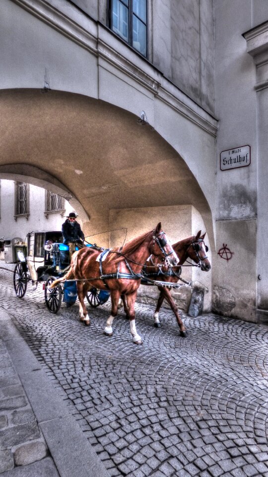 Cart stagecoach the horse