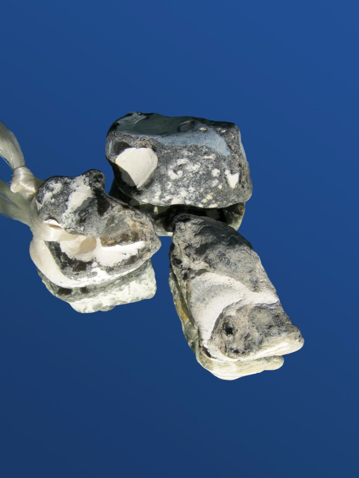 Stones baltic sea decorative
