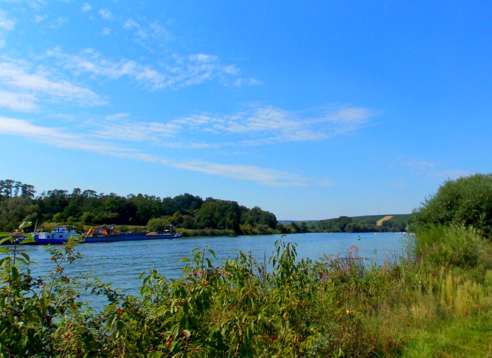 Riverside bank nature