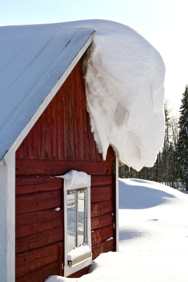 Drift wooden house building