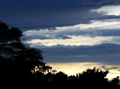 Dark blue gold
