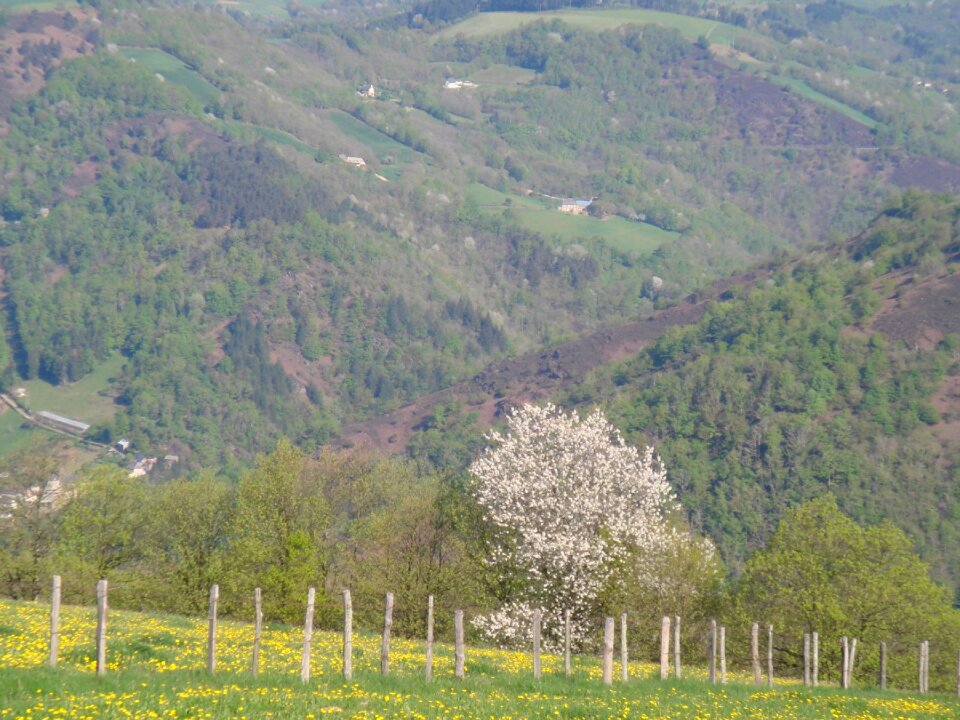 Valle of the lot cantal france