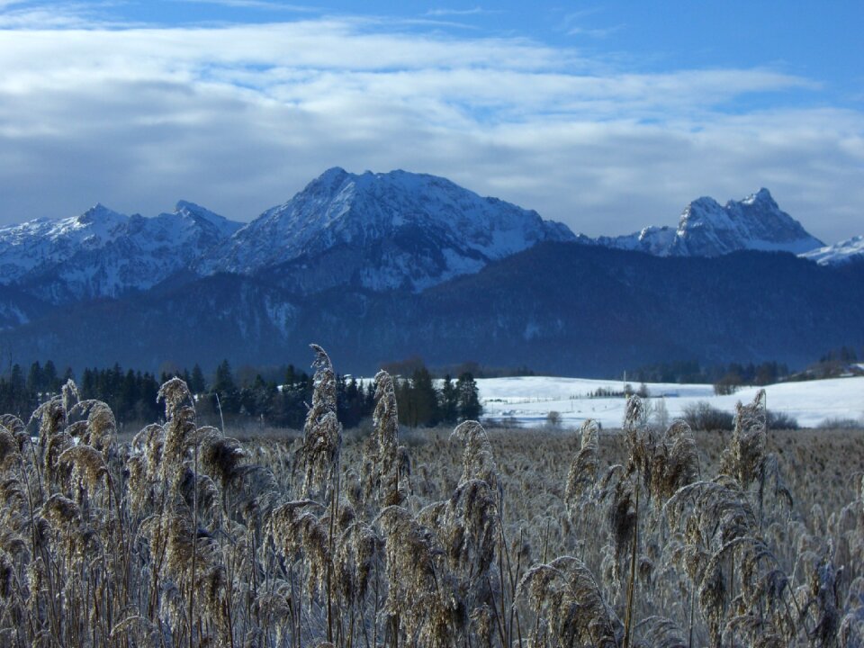 Allgäu frost winter
