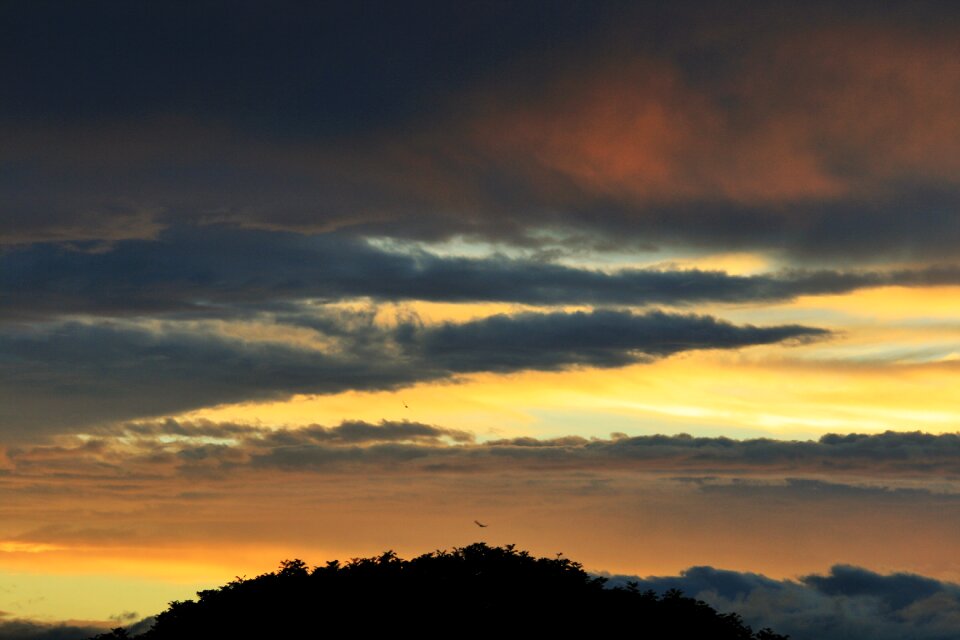 Dark blue gold