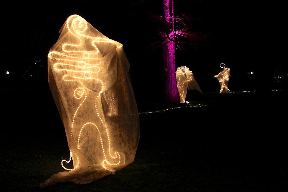 Palm garden light installation weird