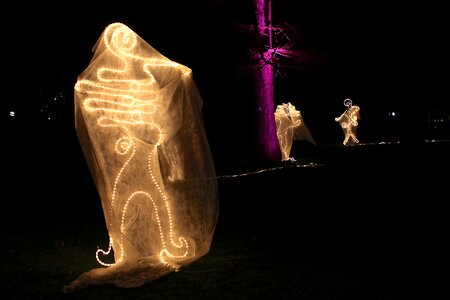 Palm garden light installation weird