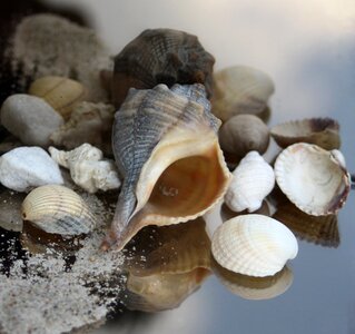 Sand beach timeless