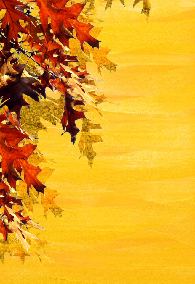 Emerge stationery greeting card