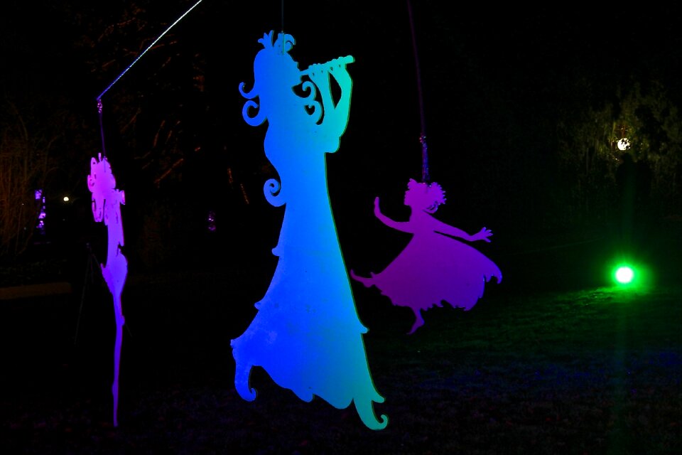 Palm garden light installation