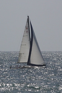 Sail sailing ocean photo