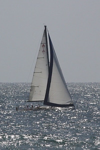 Sail sailing ocean