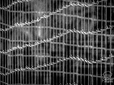 Network art abstract