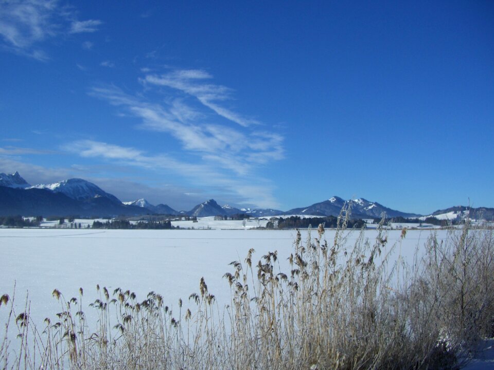 Reed mountain panorama frozen