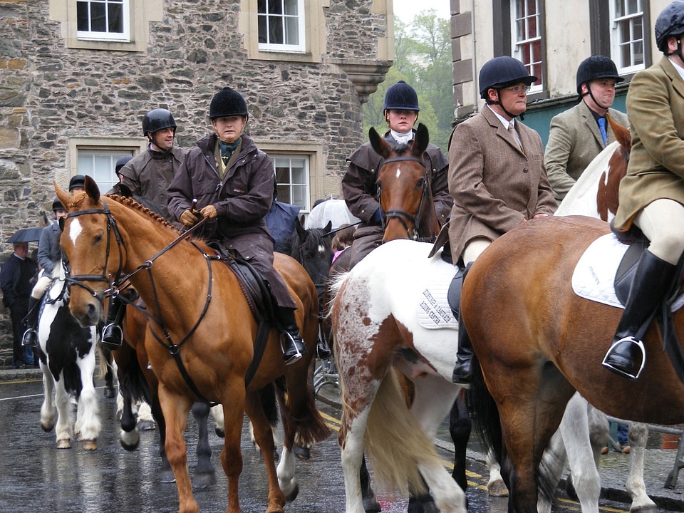 Equine rider horseback