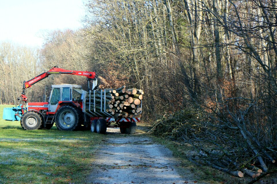 Log trailer wood means of transport