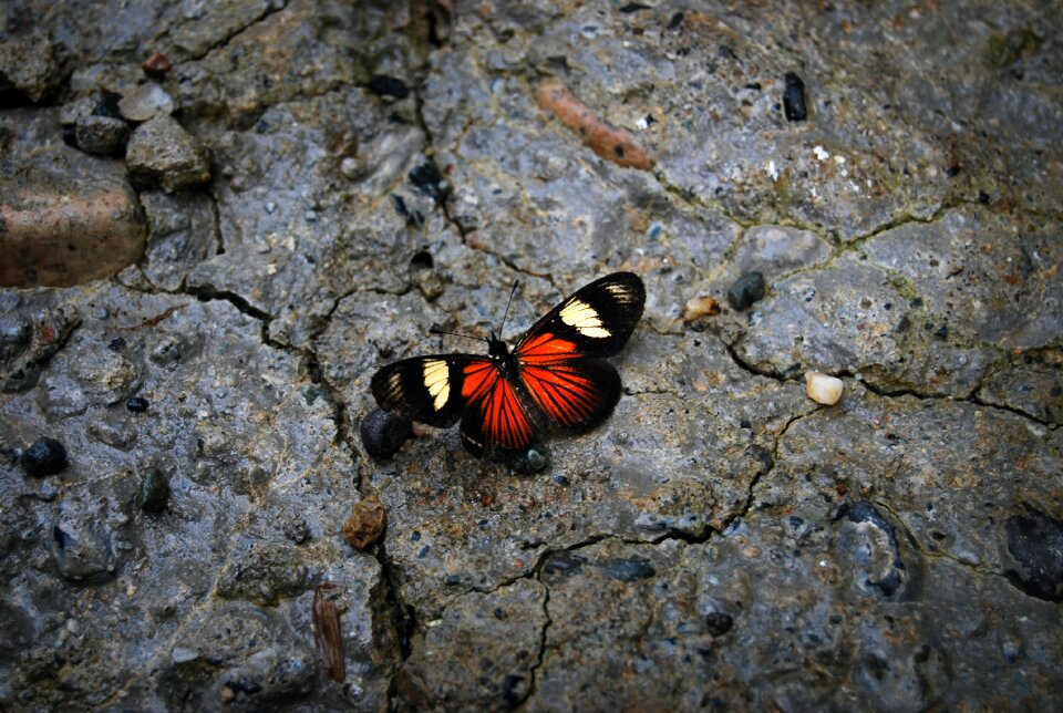 Colors beauty contrast