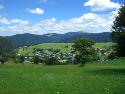 Black forest feldberg view