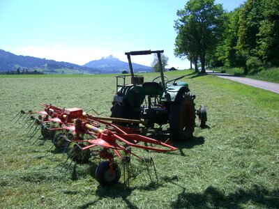Fieldwork greened hay photo