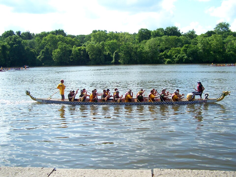 Rowing boat rowing nature