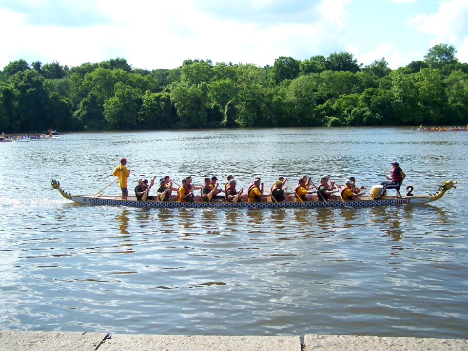 Rowing boat rowing nature photo