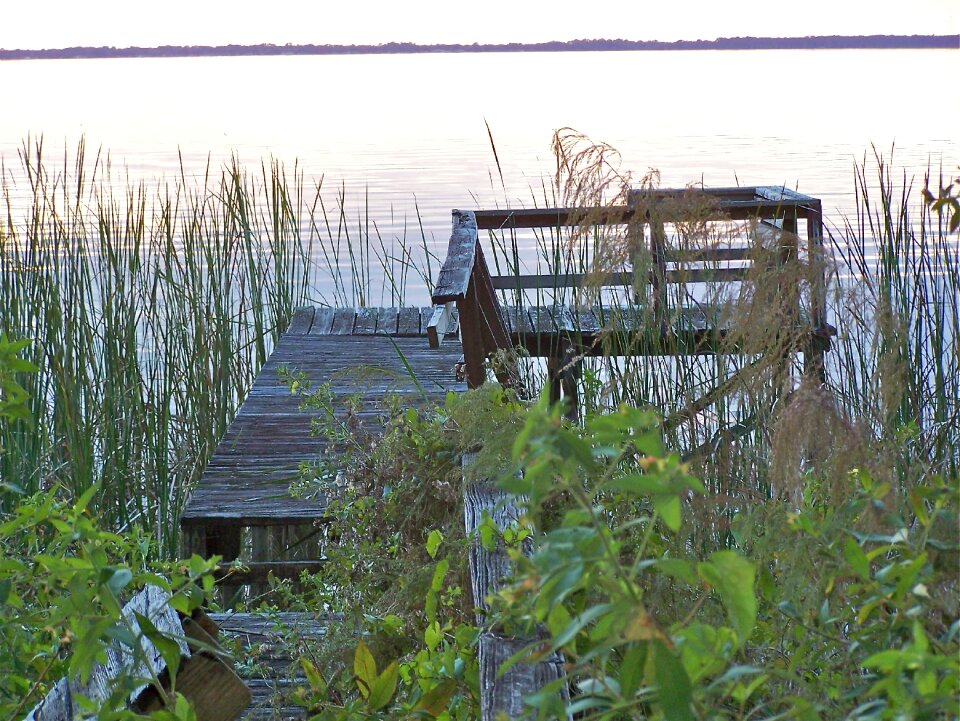 Florida natural nature