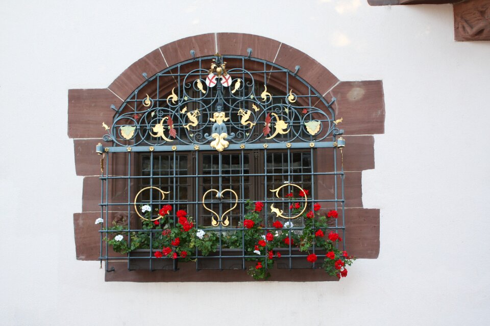 Wall grid plant photo