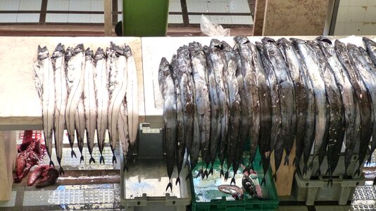 Scabbard fish fish market