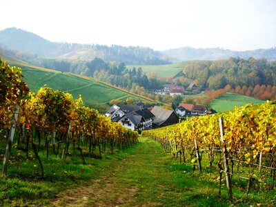 Schlatten dilger hof ortenau