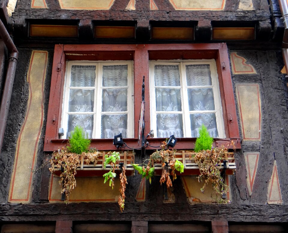 Flowers historic center old