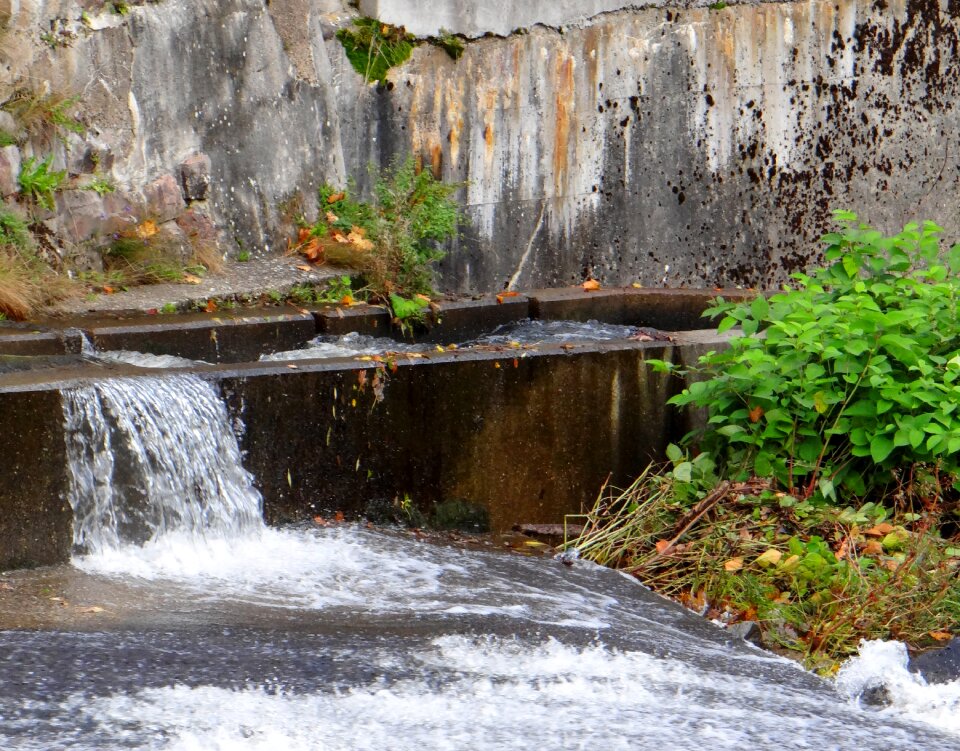 Source bach water surface