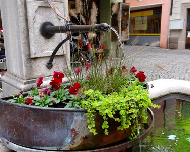 Green bucket water jet