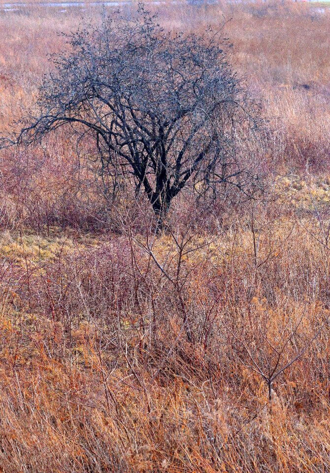 Nature landscape scenery