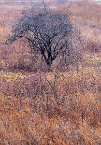 Nature landscape scenery