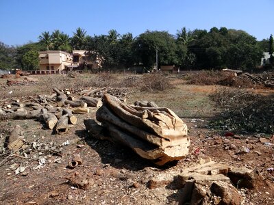 Woodpile dharwad india photo